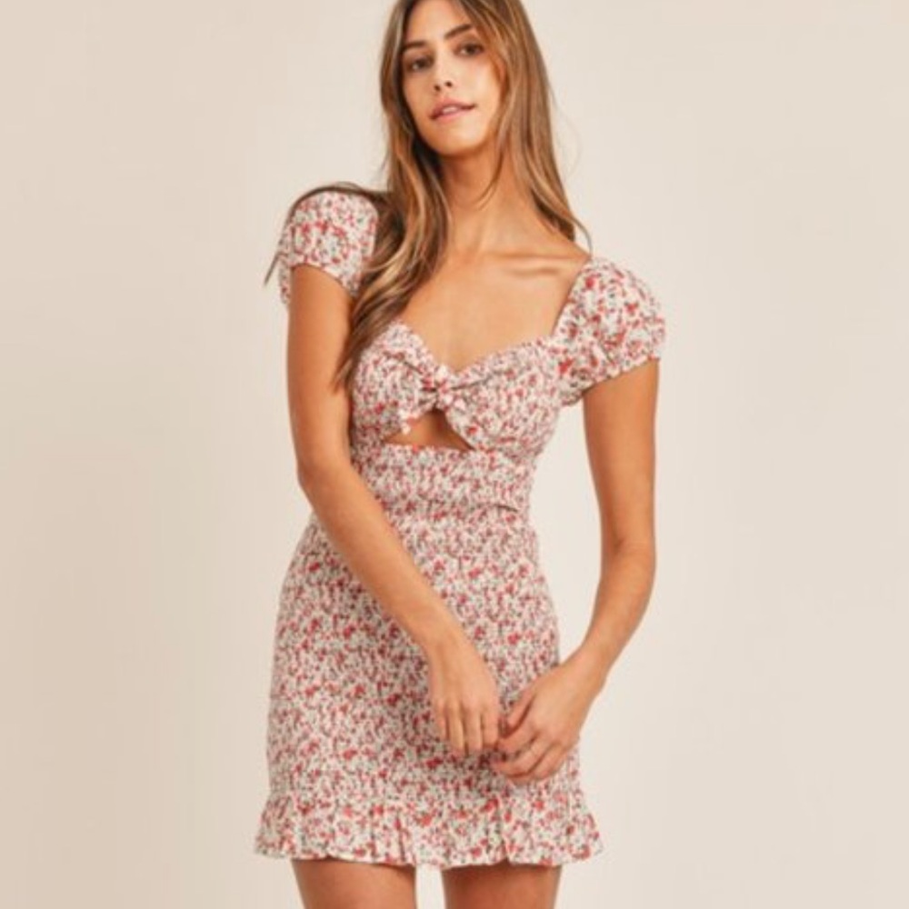 Mable floral smocked tie front mini dress